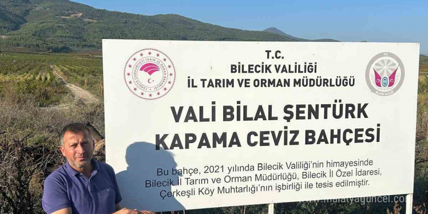 Kavaklığı ceviz bahçesine dönüştüren muhtarlık ilk hasadını yaptı