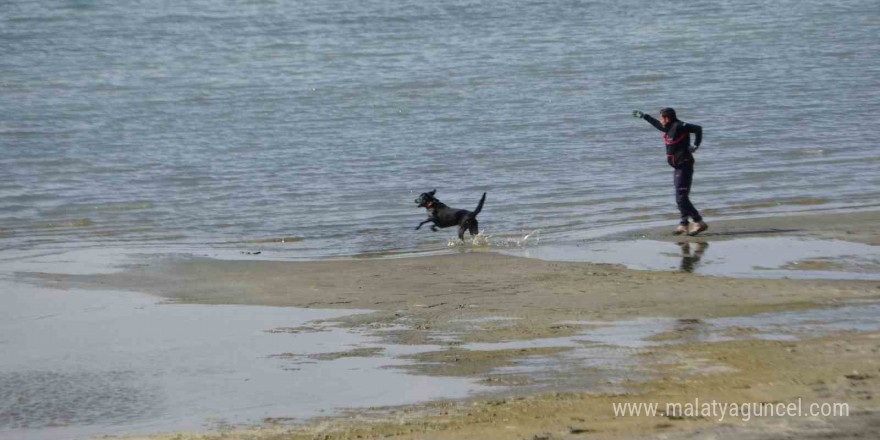 Kayıp öğrenci Rojin için AFAD’dan köpekli arama