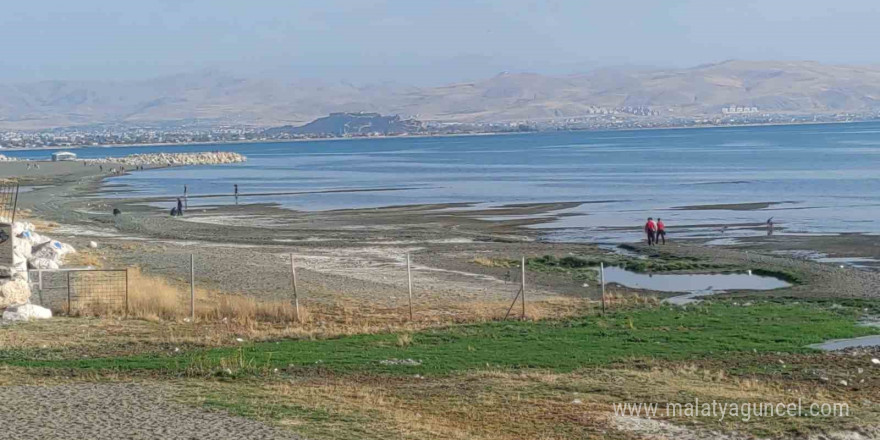 Kayıp üniversite öğrencisini arama çalışmalarına jandarma sualtı kadavra arama köpeği katıldı