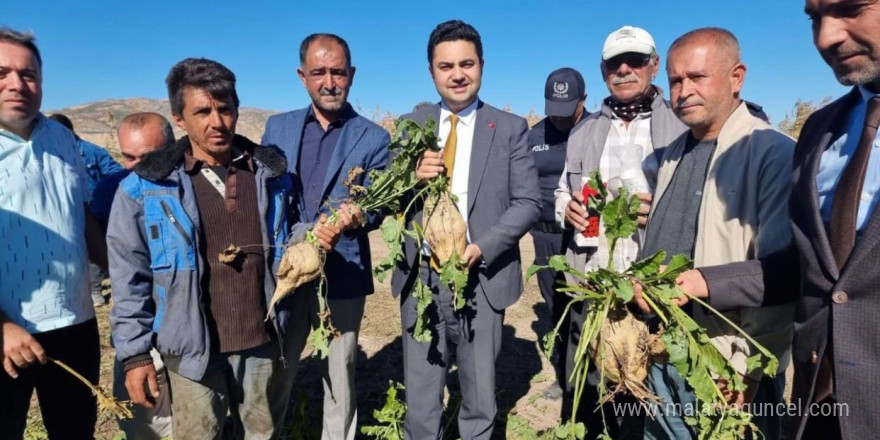 Kaymakam Seyhan, şeker pancarı hasadına katıldı