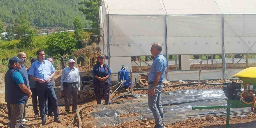 Kaymakam Topsakaloğlu, çilek serasında incelemelerde bulundu