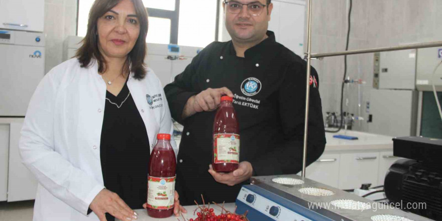 Kayseri Üniversitesi gilaburu şerbeti üretti, patent başvurusu yaptı