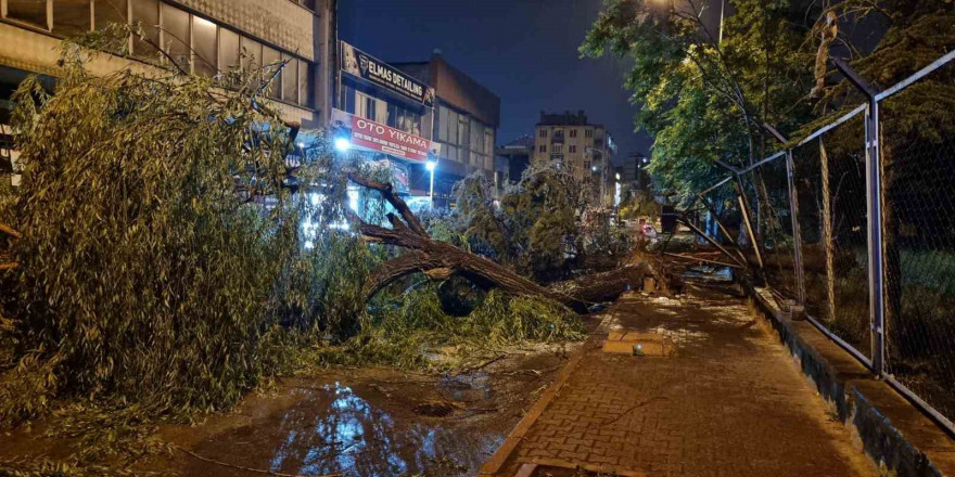 Kayseri’de şiddetli rüzgar ağaçları devirdi, vatandaşlar yolda mahsur kaldı