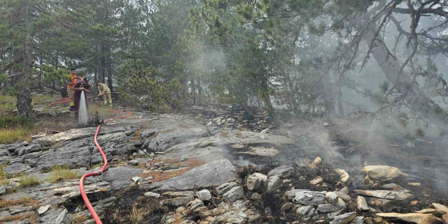 Kazdağları’nda yangına havadan müdahale sürüyor