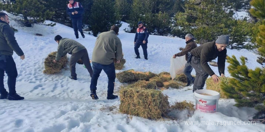 Kazdağları’nda yoğun kar yağışı nedeniyle yaban hayvanlarına yem bırakıldı