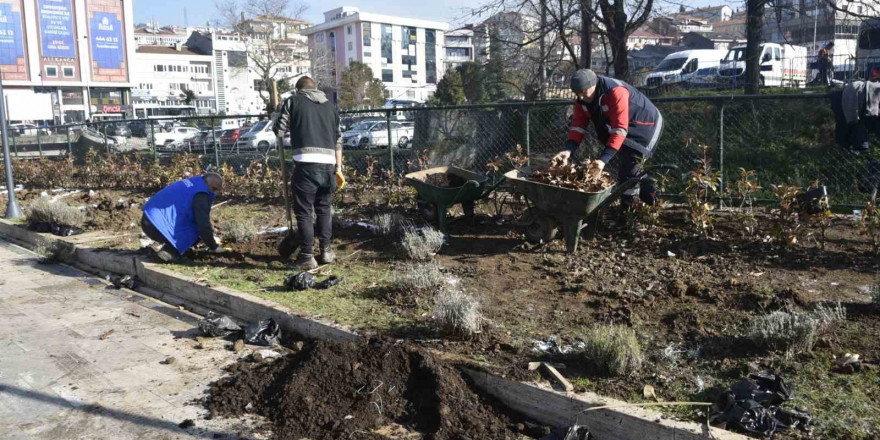 Kdz. Ereğli lavanta kokacak