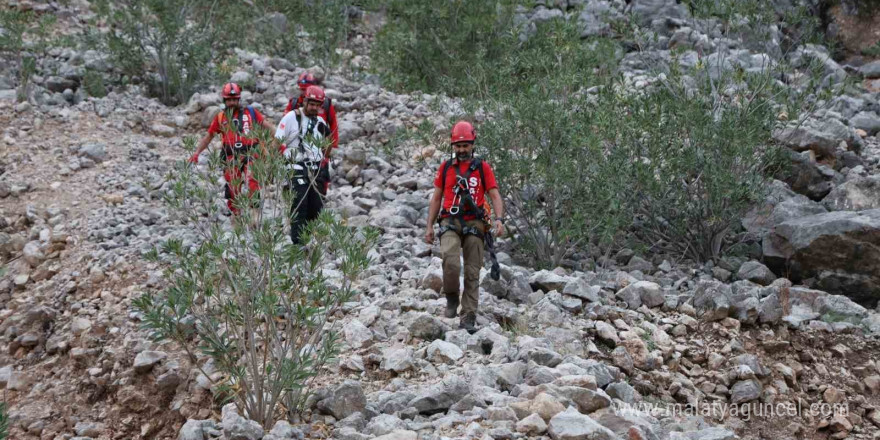 Keçilere kurtarma operasyonu düzenlendi, gerçek başka çıktı