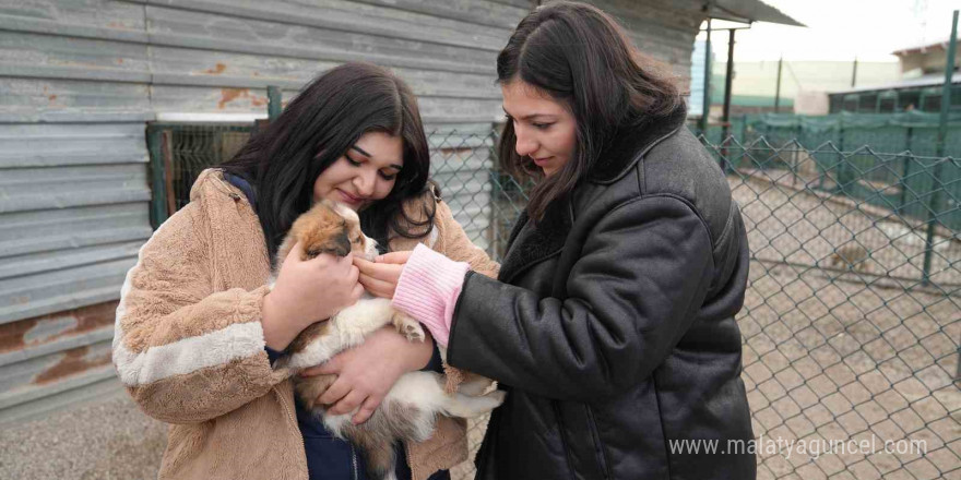 Keçiören Belediyesi Pati Yaşam Köyü’ndeki hayvanların ziyareti 4 güne çıktı