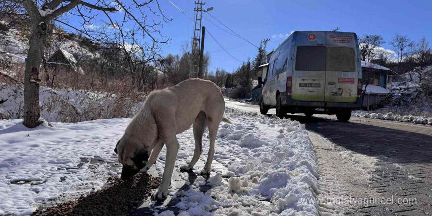 Keçiören Belediyesi, sokak hayvanlarını unutmadı