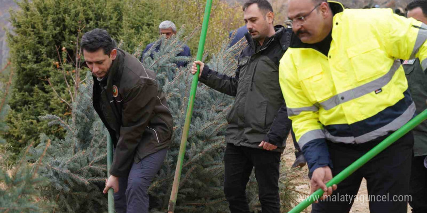 Kemaliye’de geleceğe nefes için fidan dikildi