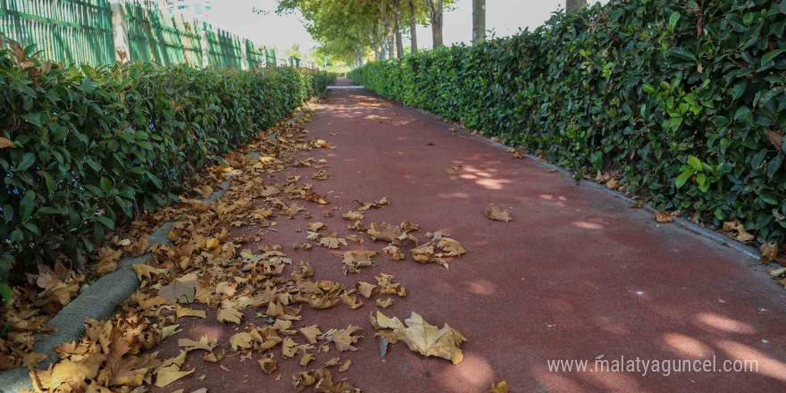 Kent Park’ta sonbahar manzaraları mest etti