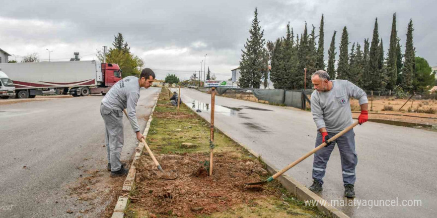 Kepez tarihi mirasıyla yeşilleniyor