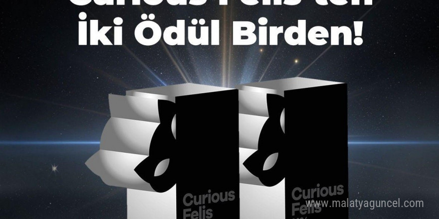 Kiğılı’ya, Curious Felis 2024’ten iki gümüş ödül