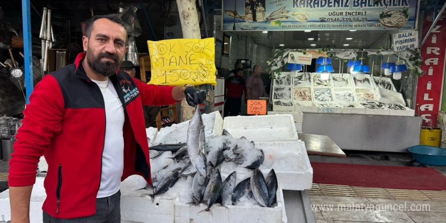 Kilis’te havaların serinlemesiyle balık satışları arttı