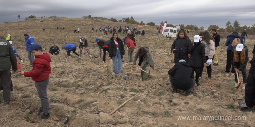 Kırklareli’nde 20 bin fidan toprakla buluştu