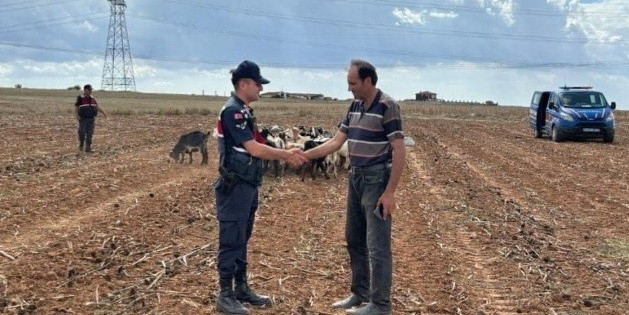 Kırklareli’nde kaybolan küçükbaş hayvanlar bulundu