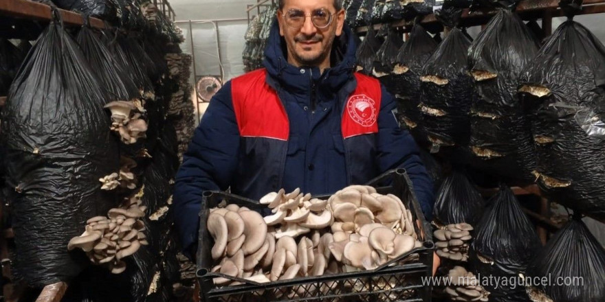 Kırklareli’nde mantar üretimi yapan işletme denetlendi