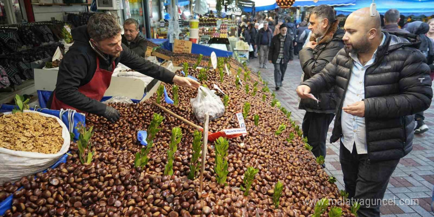 Kış harikası kestane her derde deva