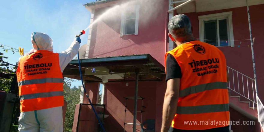 Kış öncesi Kahverengi Kokarca ile mücadele hız kazandı