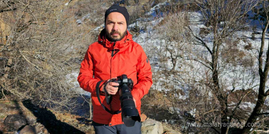 Kış uykusuna yatmayan ayı ailesi, fotoğrafçıya poz verdi