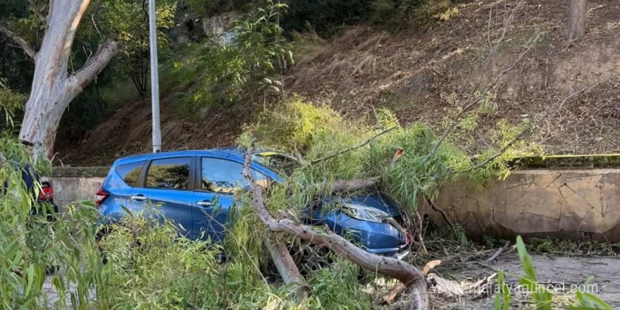 KKTC’de fırtınada ağaçlar devrildi, çatılar uçtu