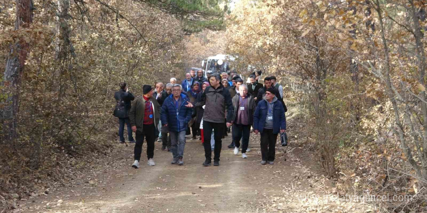 KOAH ve astım hastalarına özel doğa yürüyüşü