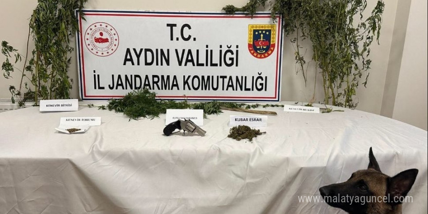 Koçarlı’da uyuşturucu baskını: 1 gözaltı