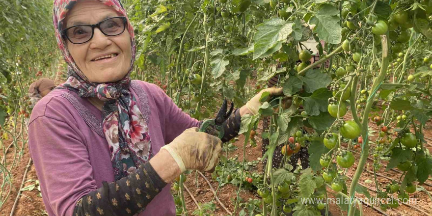 Kocası 5 çocuğuyla bırakıp kaçınca 46 sene ev temizledi, şimdi ise 75 yaşında serada çalışıyor