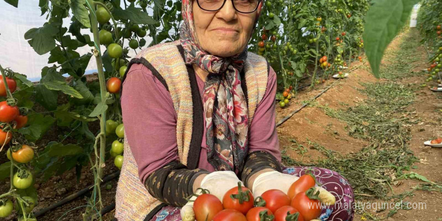 Kocası 5 çocuğuyla bırakıp kaçınca 46 sene ev temizledi, şimdi ise 75 yaşında serada çalışıyor