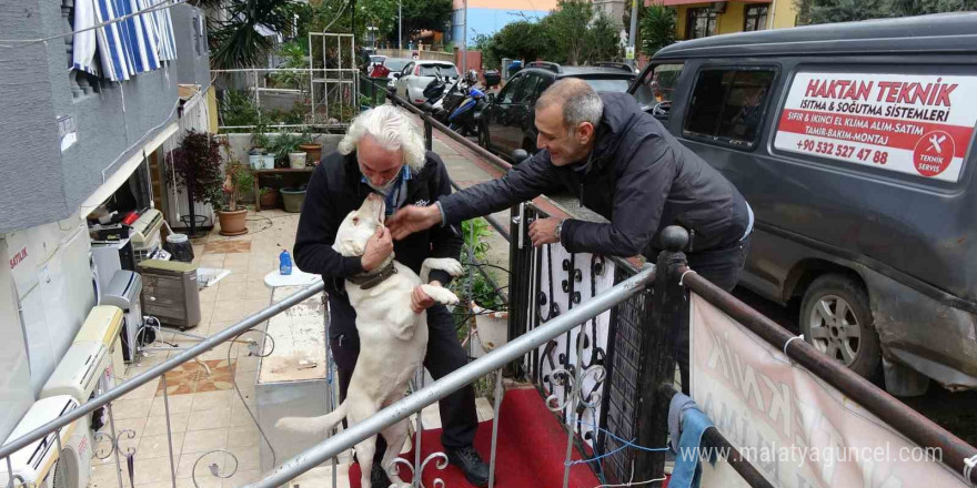 Komşuların rahatsız olduğu labrador cinsi köpek için sahibinden pankartlı tepki