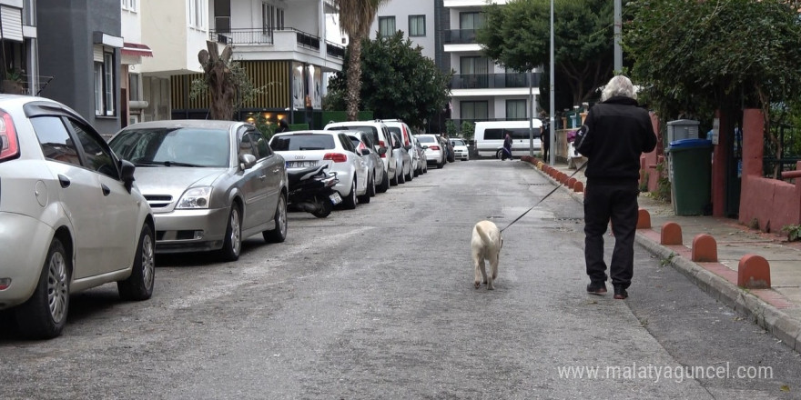 Komşuların rahatsız olduğu labrador cinsi köpek için sahibinden pankartlı tepki