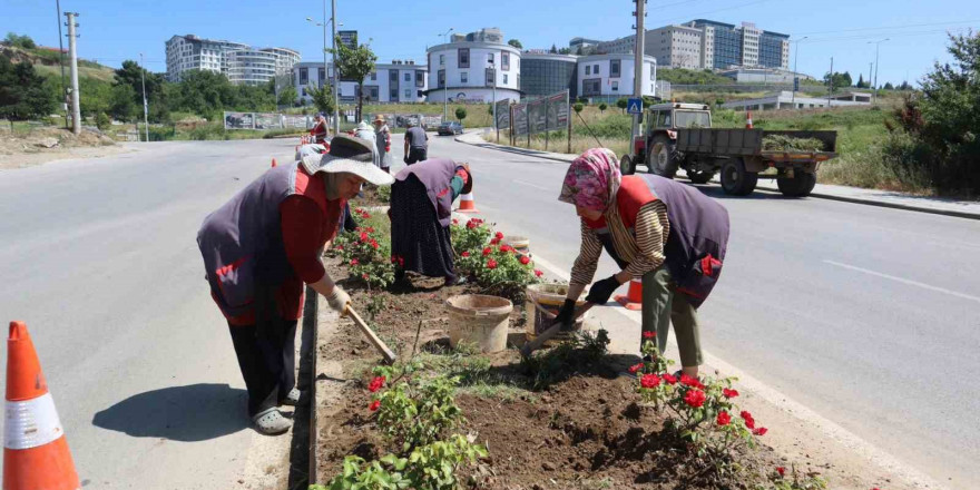 Konuralp çiçeklendiriliyor