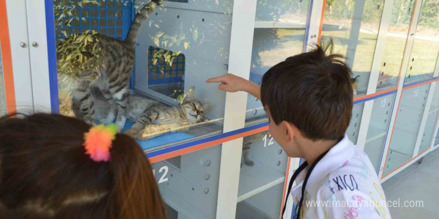 Konyaaltı Belediyesi, miniklere hayvan sevgisi aşılıyor