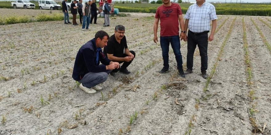 Konya’da ekili alanlarda incelemeler sürüyor