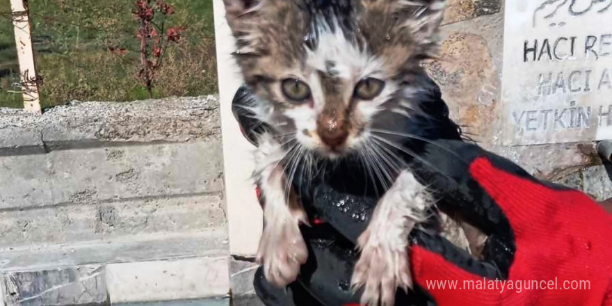 Konya’da otomobilin motoruna sıkışan kedi kurtarıldı