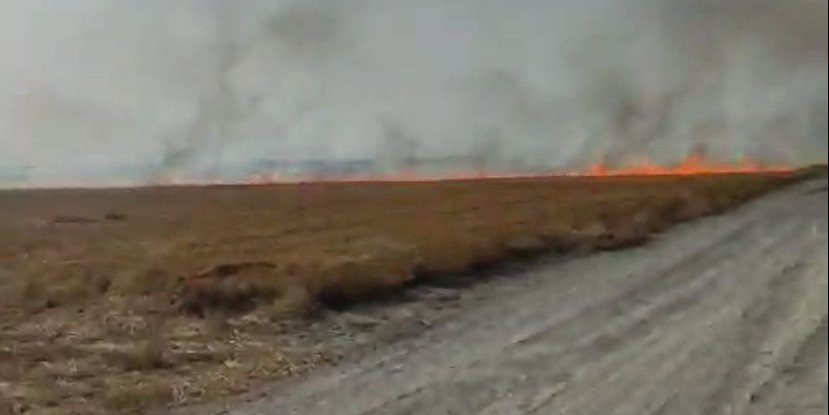 Konya’da tarlada çıkan anız yangını söndürüldü