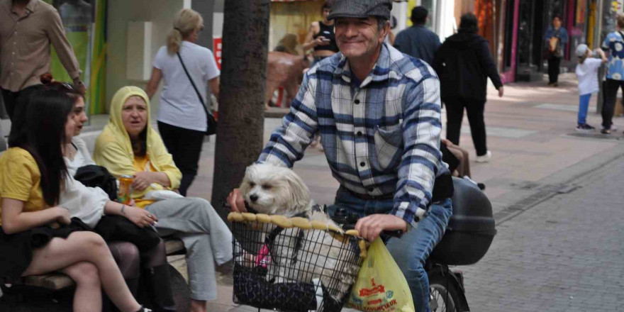 Köpeğini bisikletinin sepetine koyup güzel havanın tadını çıkardı