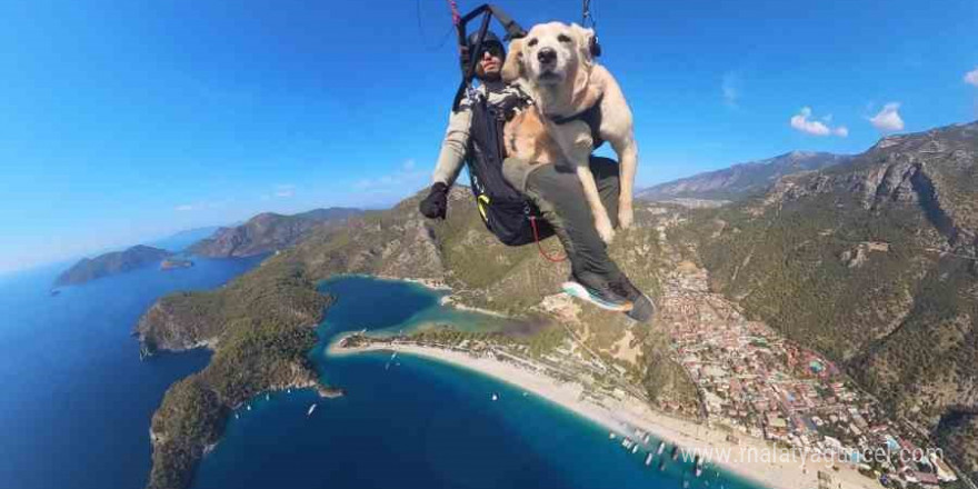 Köpeğiyle birlikte bin 700 metreden atladı