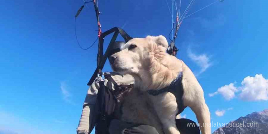 Köpeğiyle birlikte bin 700 metreden atladı