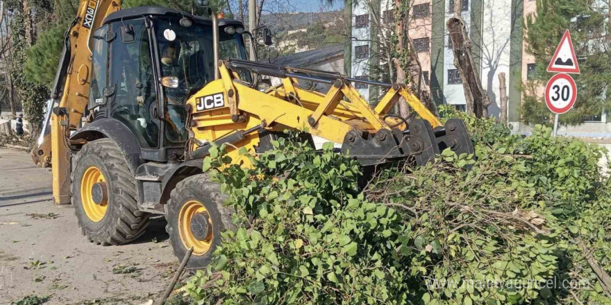 Körfez’de ağaçların bakımı sürüyor