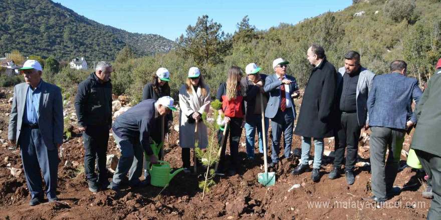 Korkuteli’nde 500 fidan toprakla buluştu