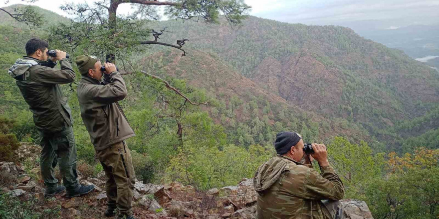 Köyceğiz’de yaban keçilerinin tespiti yapıldı