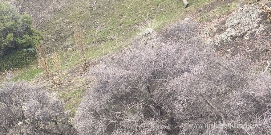 Kumluca’da kayıp avcıdan acı haber