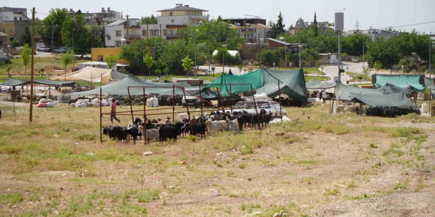 Kurban kesim ve satış alanları belirlendi