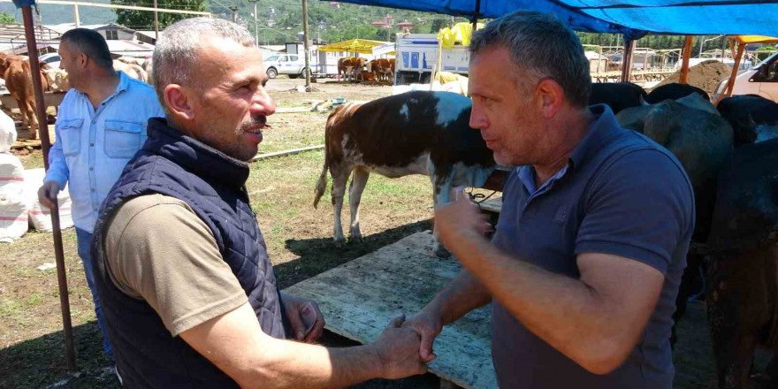 Kurban pazarlarında sıkı pazarlıklar başladı