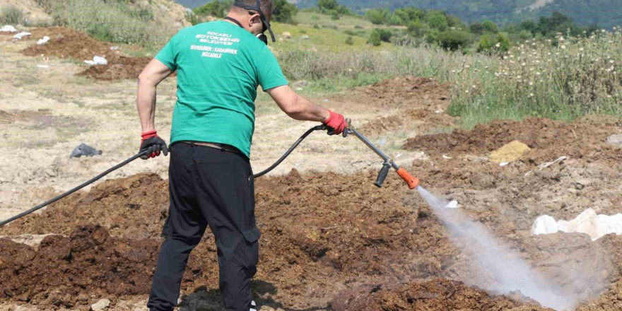 Kurban satış alanları ilaçlanıyor