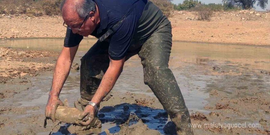 Kuruyan gölette balık kurtarma operasyonu