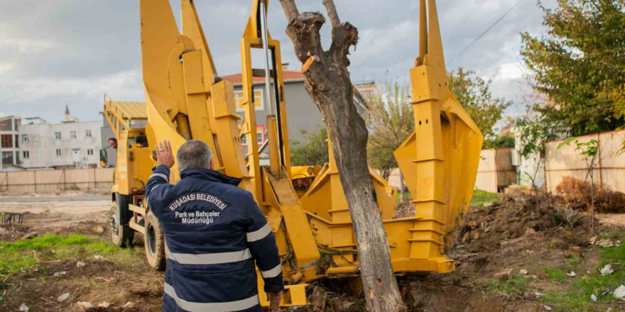 Kuşadası Belediyesi’nden ’yeşil’ hassasiyet