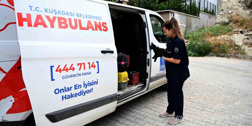 Kuşadası Belediyesi’nin Haybulans araçları 2024’te can dostlara umut oldu