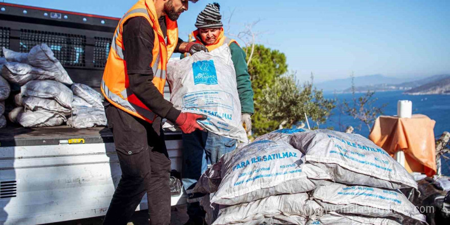 Kuşadası Belediyesi’nin yakacak yardımı başladı